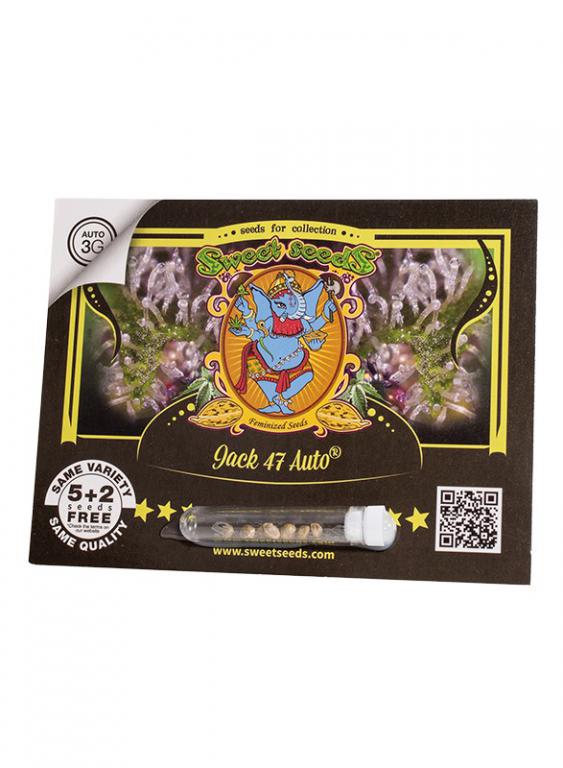 Jack 47 Auto – 5+2 graines – Sweet Seeds Jack 47 Auto – 5+2 graines – Sweet Seeds