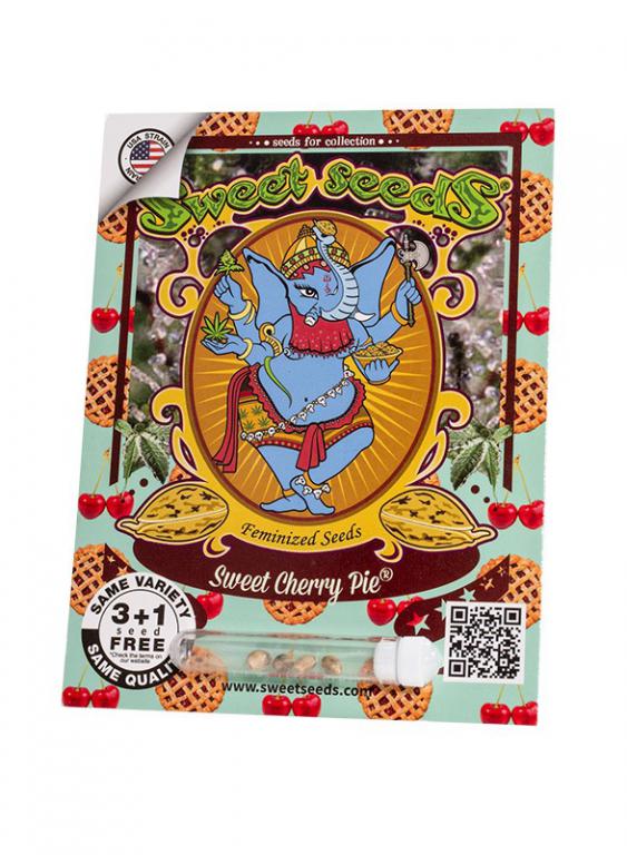 Sweet Cherry Pie – 3+1 graines – Sweet Seeds Sweet Cherry Pie – 3+1 graines – Sweet Seeds