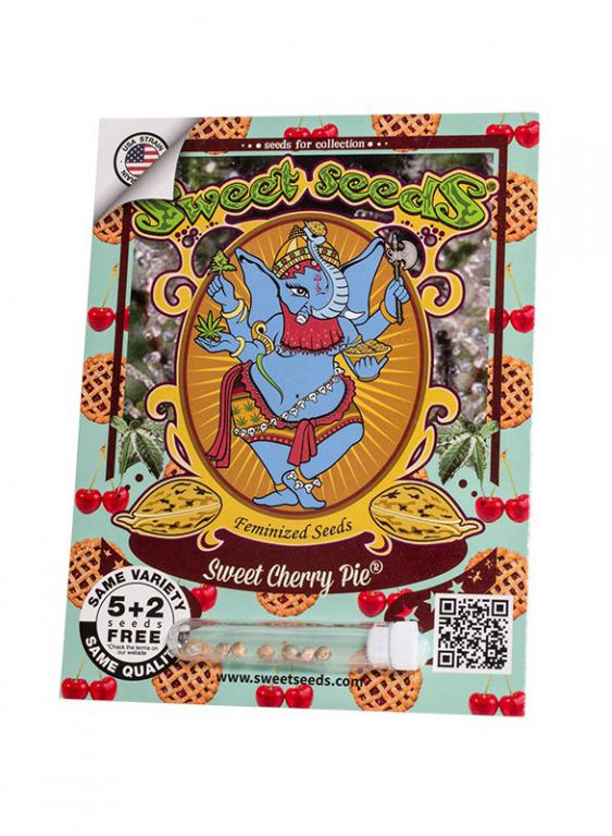 Sweet Cherry Pie – 5+2 graines – Sweet Seeds Sweet Cherry Pie – 5+2 graines – Sweet Seeds
