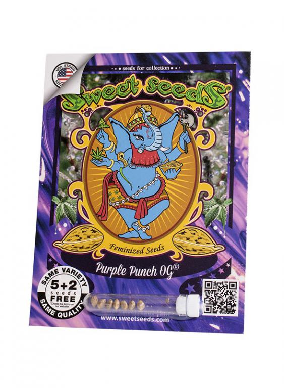 Purple Punch OG – 5+2 graines – Sweet Seeds Purple Punch OG – 5+2 graines – Sweet Seeds