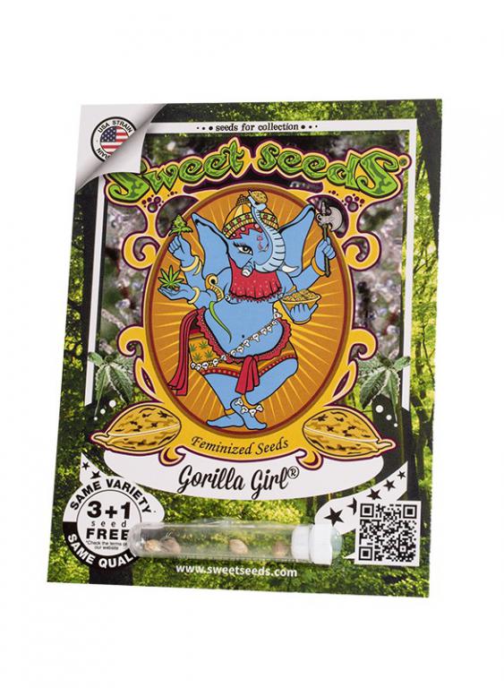 Gorilla Girl – 3+1 graines – Sweet Seeds