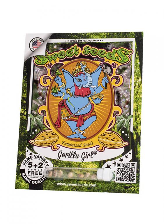 Gorilla Girl – 5+2 graines – Sweet Seeds Gorilla Girl – 5+2 graines – Sweet Seeds