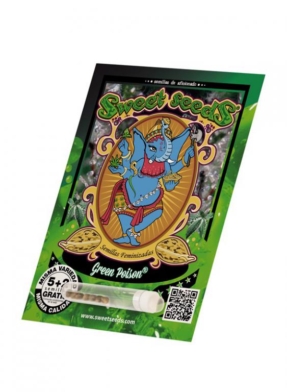 Green Poison – 5+2 graines – Sweet Seeds