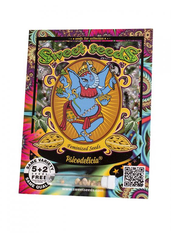Psicodelicia – 5+2 graines – Sweet Seeds