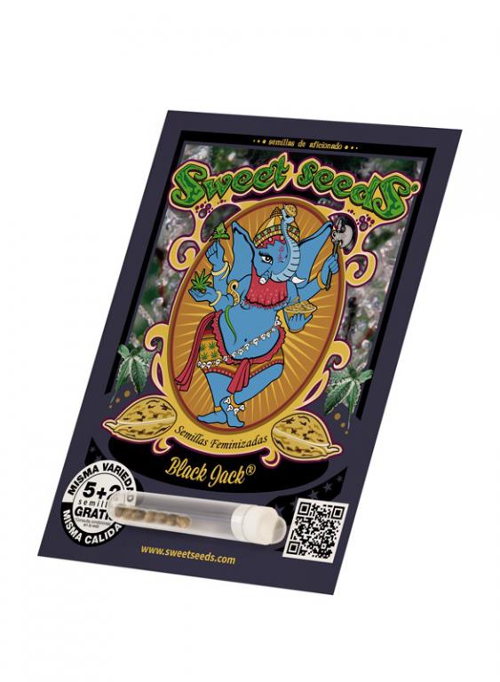 Black Jack – 5+2 graines – Sweet Seeds Black Jack – 5+2 graines – Sweet Seeds