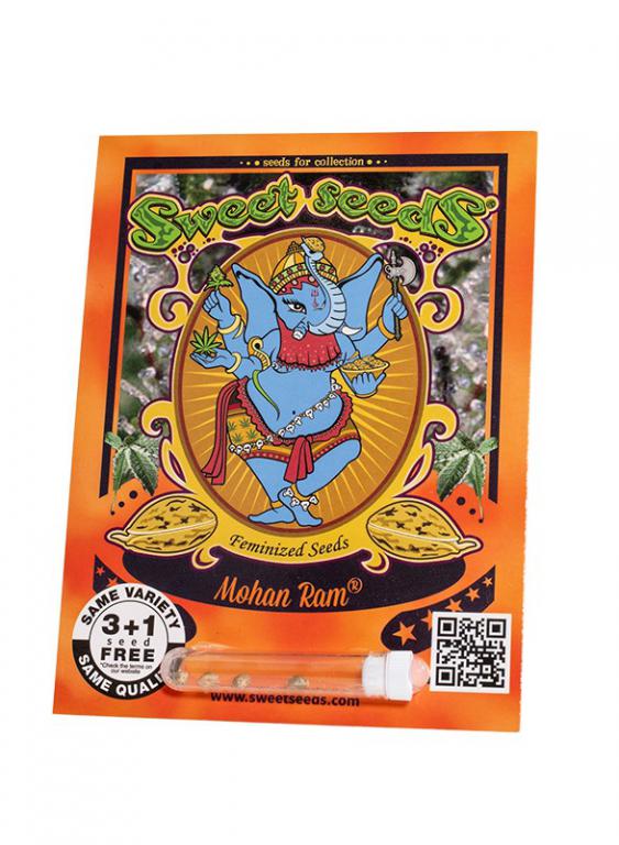 Mohan Ram – 3+1 graines – Sweet Seeds Mohan Ram – 3+1 graines – Sweet Seeds