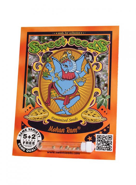 Mohan Ram – 5+2 graines – Sweet Seeds Mohan Ram – 5+2 graines – Sweet Seeds