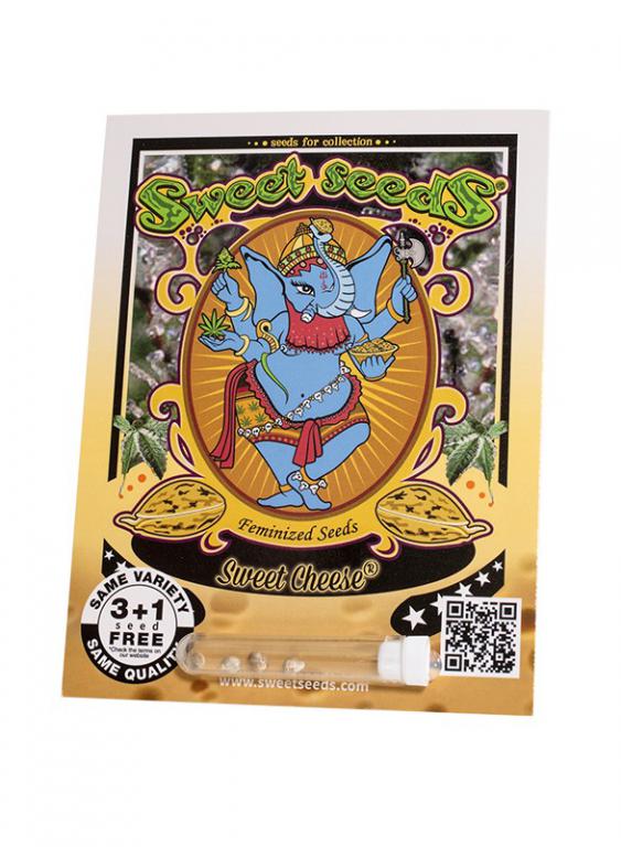 Sweet Cheese – 3+1 graines – Sweet Seeds Sweet Cheese – 3+1 graines – Sweet Seeds