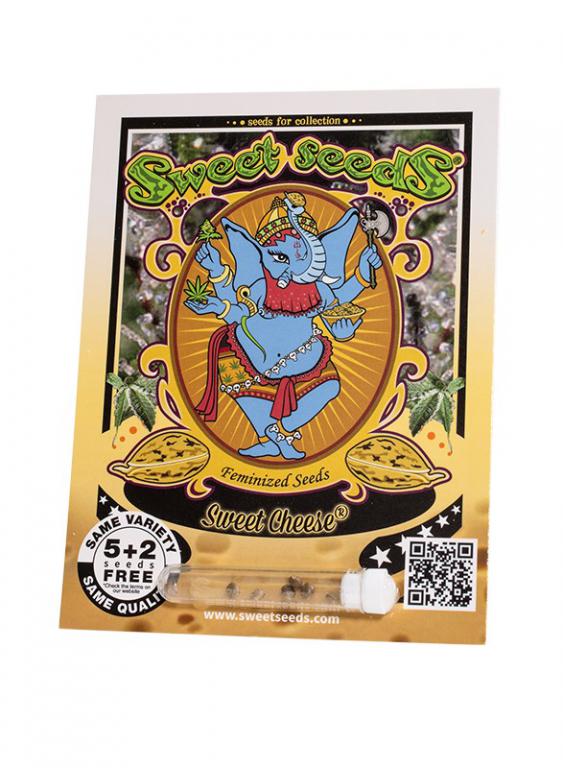 Sweet Cheese – 5+2 graines – Sweet Seeds Sweet Cheese – 5+2 graines – Sweet Seeds