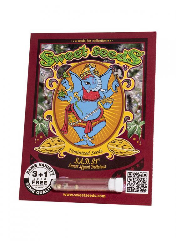 S.A.D. Sweet Afgani Delicious S1 – 3+1 graines – Sweet Seeds S.A.D. Sweet Afgani Delicious S1 – 3+1 graines – Sweet Seeds