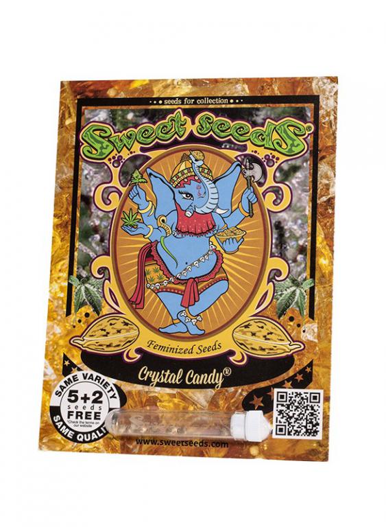 Crystal Candy – 5+2 graines – Sweet Seeds