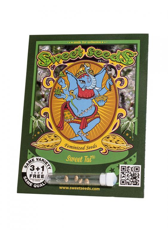 Sweet Tai – 3+1 graines – Sweet Seeds Sweet Tai – 3+1 graines – Sweet Seeds