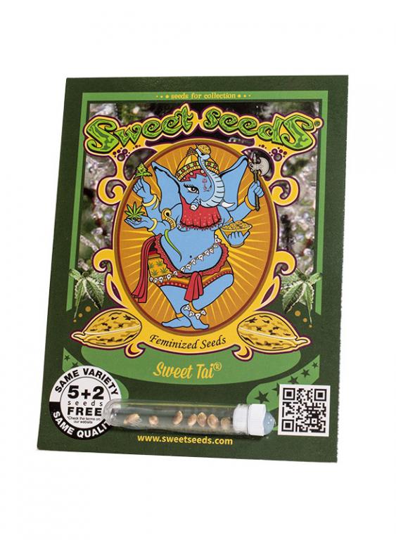 Sweet Tai – 5+2 graines – Sweet Seeds