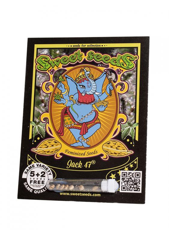 Jack 47 – 5+2 graines – Sweet Seeds Jack 47 – 5+2 graines – Sweet Seeds