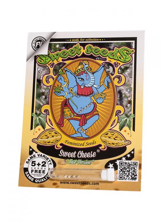 Sweet Cheese F1 Fast Version – 5+2 graines – Sweet Seeds