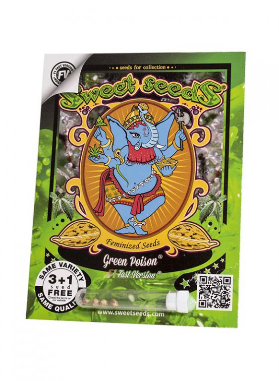 Green Poison F1 Fast Version – 3+1 graines – Sweet Seeds Green Poison F1 Fast Version – 3+1 graines – Sweet Seeds