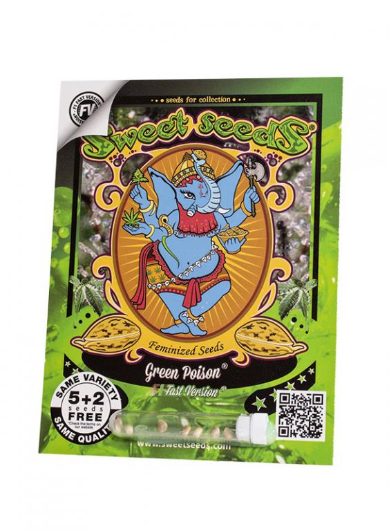 Green Poison F1 Fast Version – 5+2 graines – Sweet Seeds Green Poison F1 Fast Version – 5+2 graines – Sweet Seeds