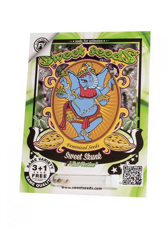 Sweet Skunk F1 Fast Version – 3+1 graines – Sweet Seeds Sweet Skunk F1 Fast Version – 3+1 graines – Sweet Seeds