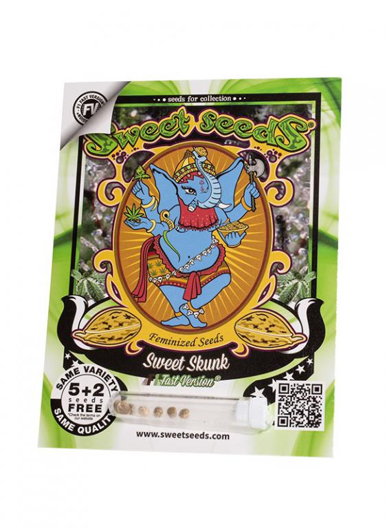 Sweet Skunk F1 Fast Version – 5+2 graines – Sweet Seeds
