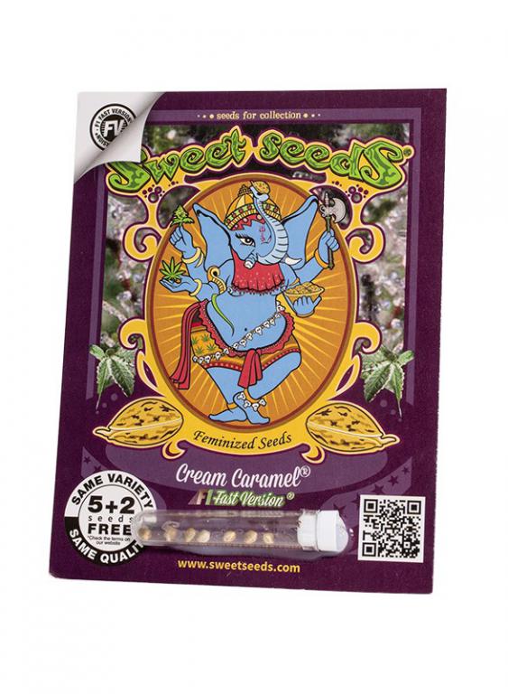 Cream Caramel F1 Fast Version – 5+2 graines – Sweet Seeds