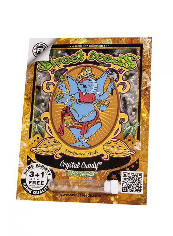 Crystal Candy F1 Fast Version – 3+1 graines – Sweet Seeds