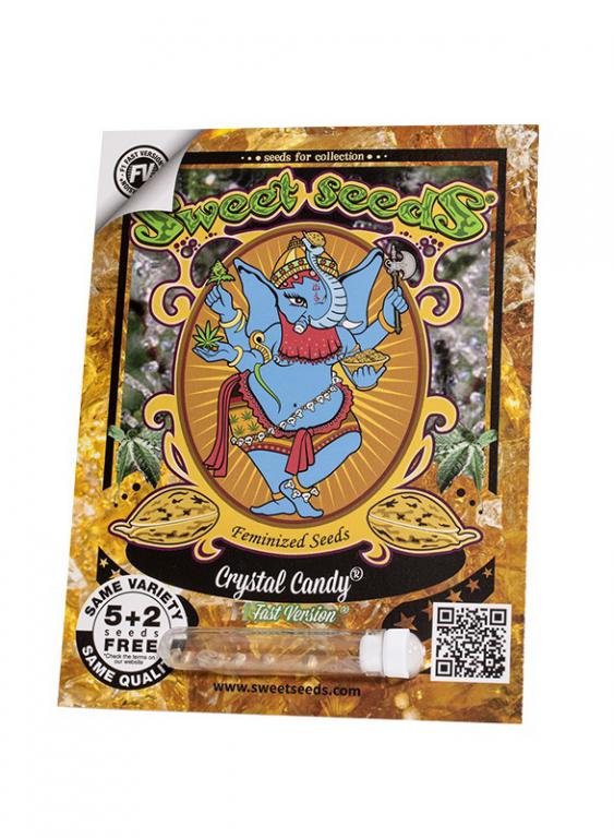 Crystal Candy F1 Fast Version – 5+2 graines – Sweet Seeds Crystal Candy F1 Fast Version – 5+2 graines – Sweet Seeds