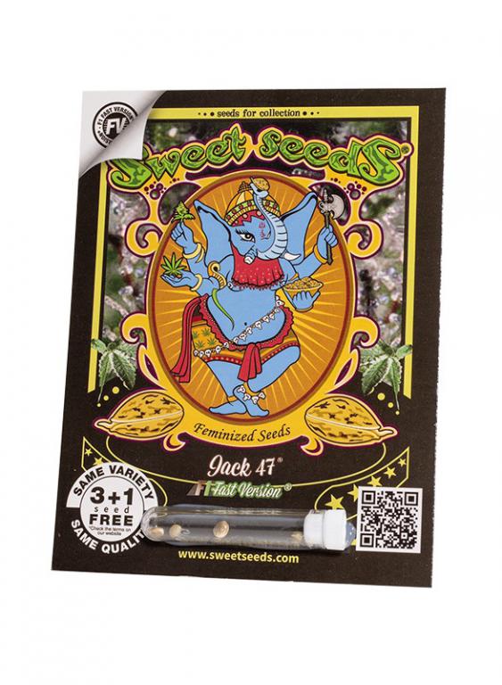 Jack 47 F1 Fast Version – 3+1 graines – Sweet Seeds Jack 47 F1 Fast Version – 3+1 graines – Sweet Seeds