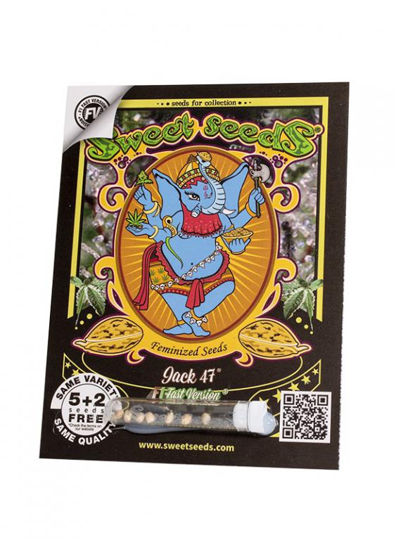 Jack 47 F1 Fast Version – 5+2 graines – Sweet Seeds Jack 47 F1 Fast Version – 5+2 graines – Sweet Seeds