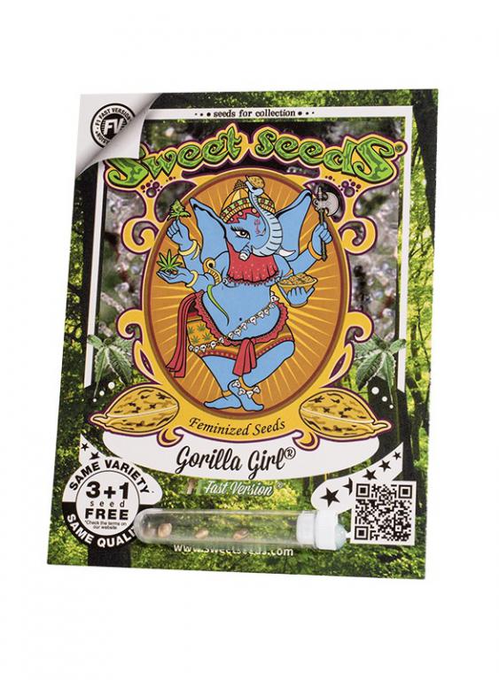 Gorilla Girl F1 Fast Version – 3+1 graines – Sweet Seeds Gorilla Girl F1 Fast Version – 3+1 graines – Sweet Seeds