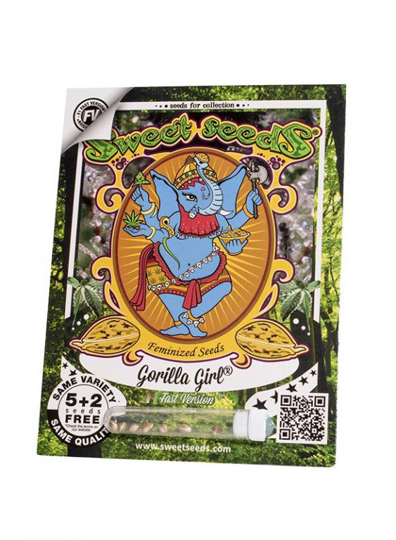 Gorilla Girl F1 Fast Version – 5+2 graines – Sweet Seeds Gorilla Girl F1 Fast Version – 5+2 graines – Sweet Seeds
