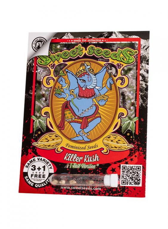 Killer Kush F1 Fast Version – 3+1 graines – Sweet Seeds Killer Kush F1 Fast Version – 3+1 graines – Sweet Seeds