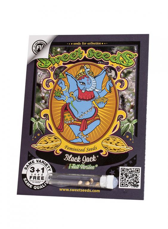 Black Jack F1 Fast Version – 3+1 graines – Sweet Seeds Black Jack F1 Fast Version – 3+1 graines – Sweet Seeds