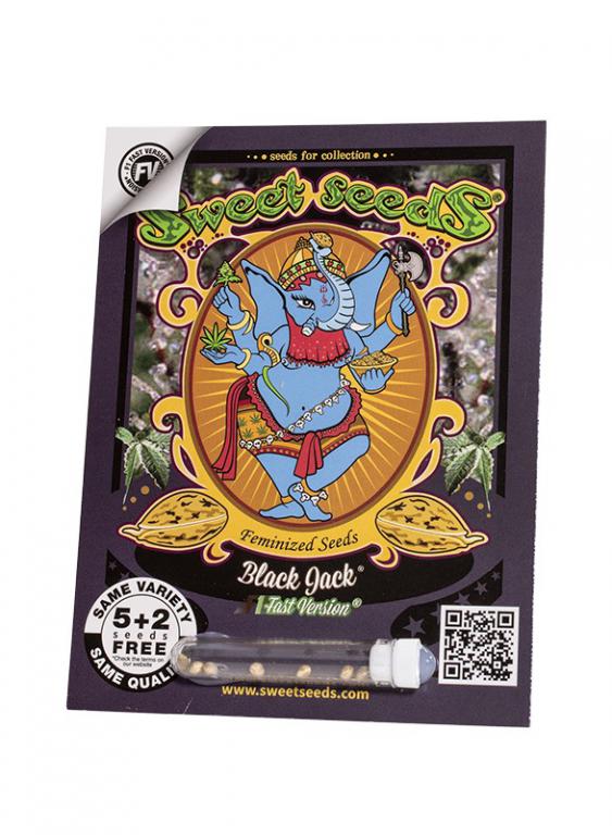 Black Jack F1 Fast Version – 5+2 graines – Sweet Seeds