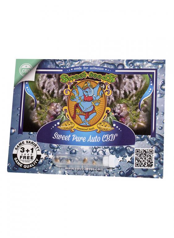 Sweet Pure Auto CBD – 3+1 graines – Sweet Seeds