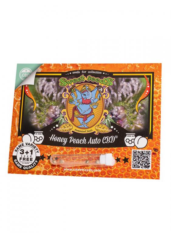Honey Peach Auto CBD – 3+1 graines – Sweet Seeds Honey Peach Auto CBD – 3+1 graines – Sweet Seeds
