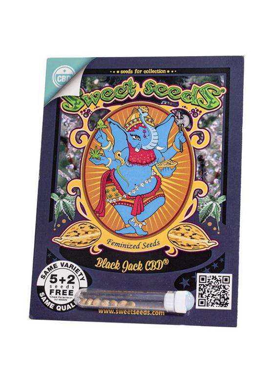 Black Jack CBD – 5+2 graines – Sweet Seeds Black Jack CBD – 5+2 graines – Sweet Seeds