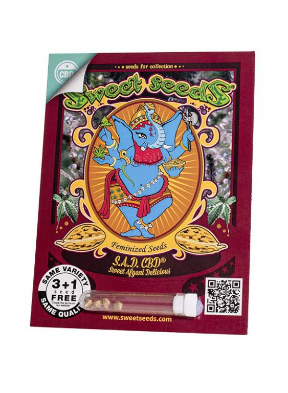 S.A.D. Sweet Afgani Delicious CBD – 3+1 graines – Sweet Seeds S.A.D. Sweet Afgani Delicious CBD – 3+1 graines – Sweet Seeds