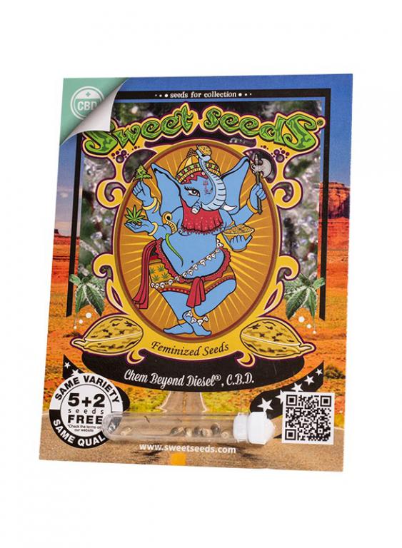Chem Beyond Diesel CBD – 5+2 graines – Sweet Seeds