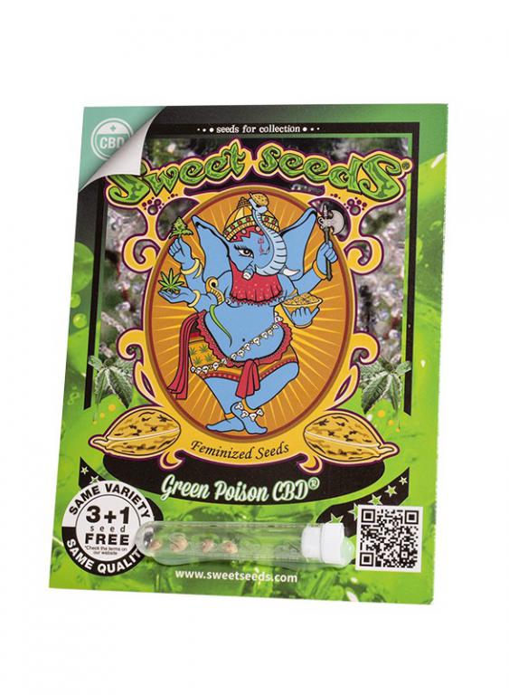Green Poison CBD – 3+1 graines – Sweet Seeds Green Poison CBD – 3+1 graines – Sweet Seeds