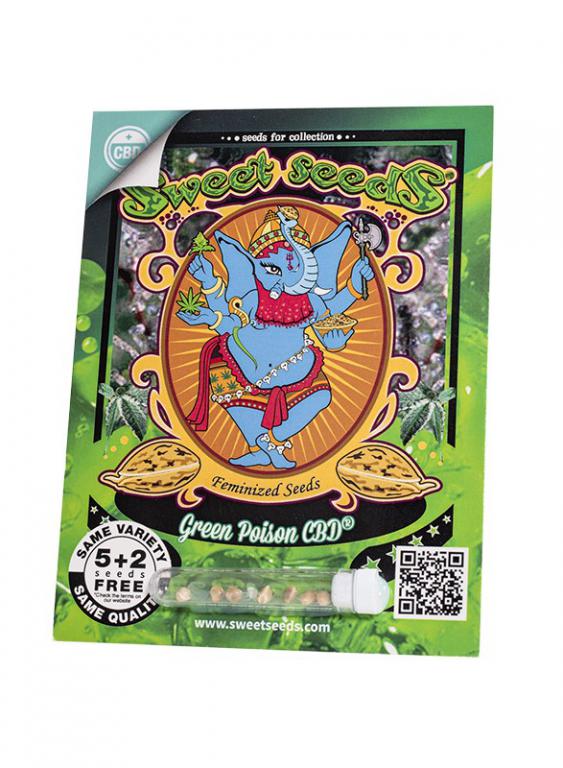 Green Poison CBD – 5+2 graines – Sweet Seeds Green Poison CBD – 5+2 graines – Sweet Seeds