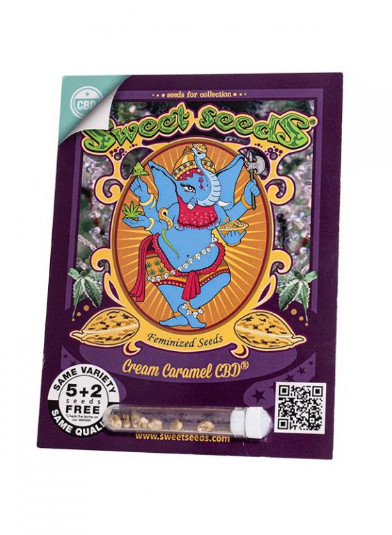Cream Caramel CBD – 5+2 graines – Sweet Seeds