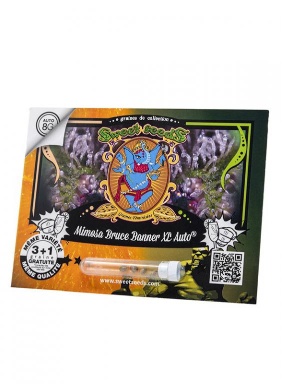 Mimosa Bruce Banner XL Auto – 3+1 graines – Sweet Seeds Mimosa Bruce Banner XL Auto – 3+1 graines – Sweet Seeds