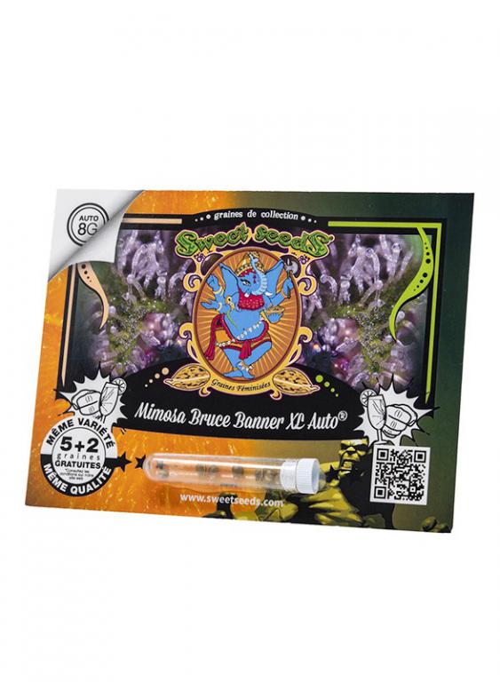 Mimosa Bruce Banner XL Auto – 5+2 graines – Sweet Seeds Mimosa Bruce Banner XL Auto – 5+2 graines – Sweet Seeds