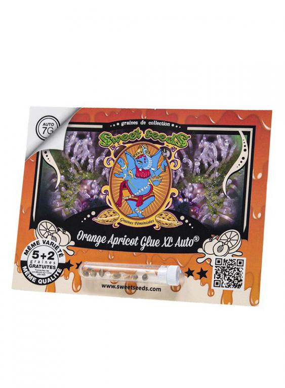 Orange Apricot Glue XL Auto – 5+2 graines – Sweet Seeds Orange Apricot Glue XL Auto – 5+2 graines – Sweet Seeds