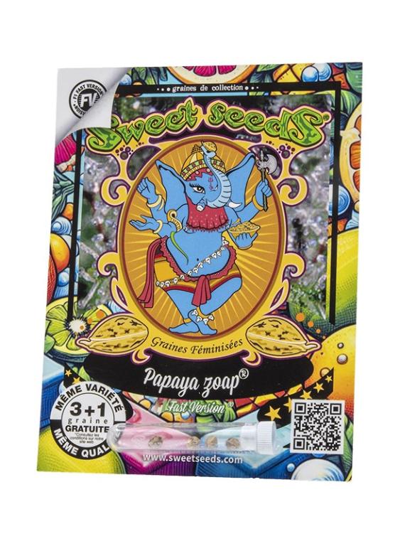 Papaya Zoap F1 Fast Version – 3 graines – Sweet Seeds Papaya Zoap F1 Fast Version – 3 graines – Sweet Seeds