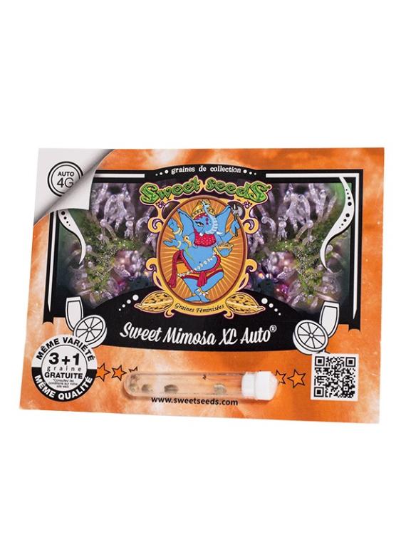 Sweet Mimosa XL Auto – 3 graines – Sweet Seeds