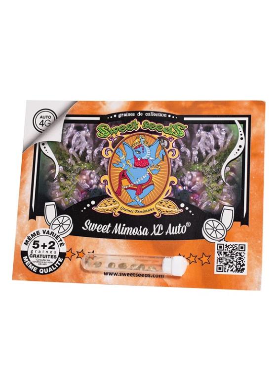 Sweet Mimosa XL Auto – 5 graines – Sweet Seeds