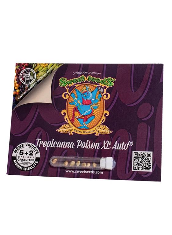 Tropicanna Poison XL Auto – 5 graines – Sweet Seeds Tropicanna Poison XL Auto – 5 graines – Sweet Seeds