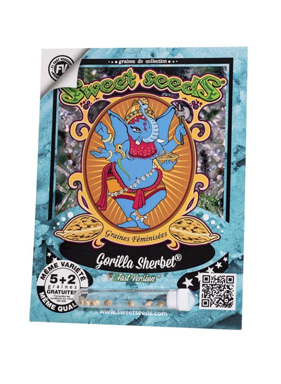 Gorilla Sherbet F1 Fast Version – 3 graines – Sweet Seeds Gorilla Sherbet F1 Fast Version – 3 graines – Sweet Seeds