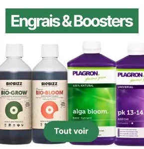 Engrais & Boosters